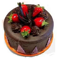 bingolpasta pasta siparişi